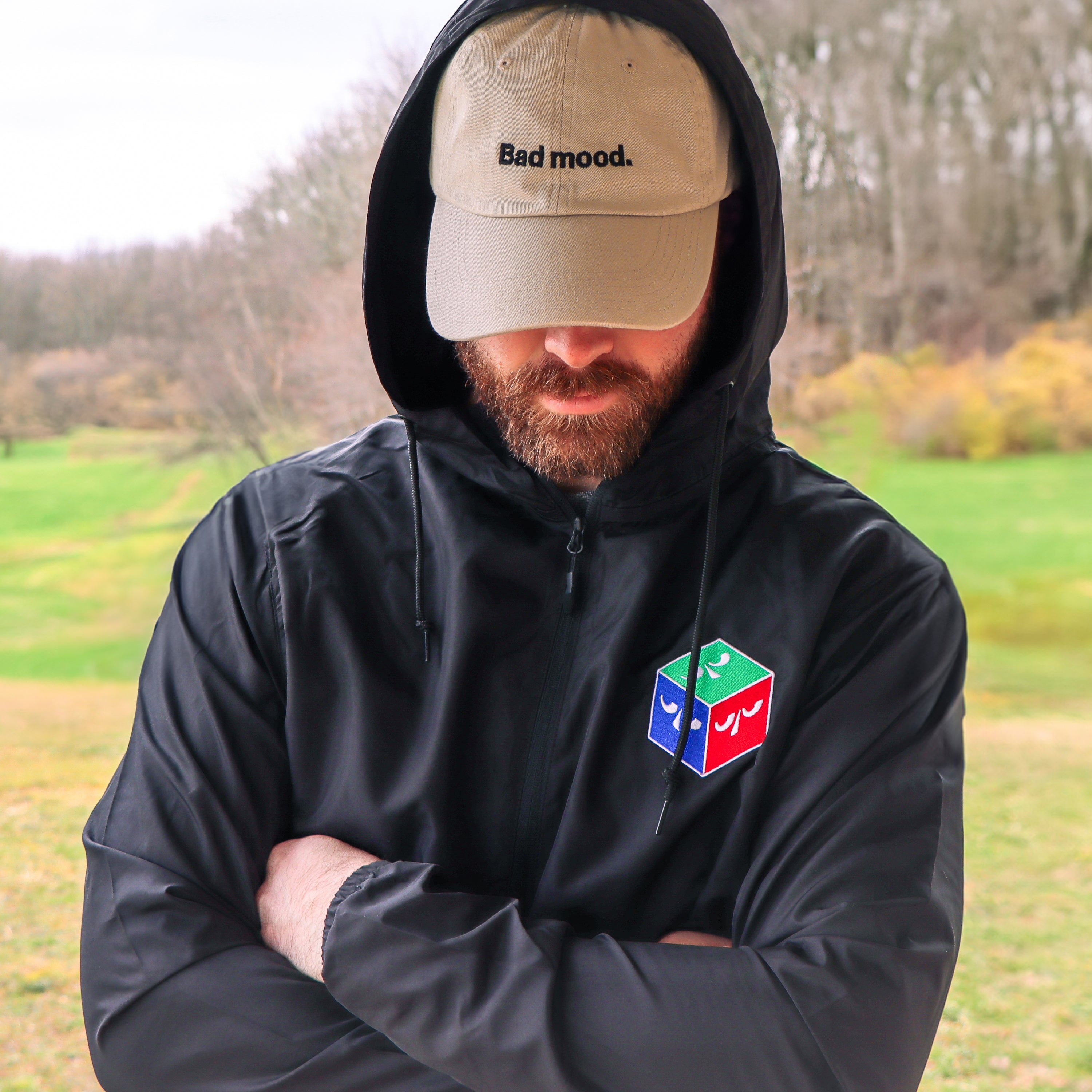 Bad Mood Dad Hat - Stone